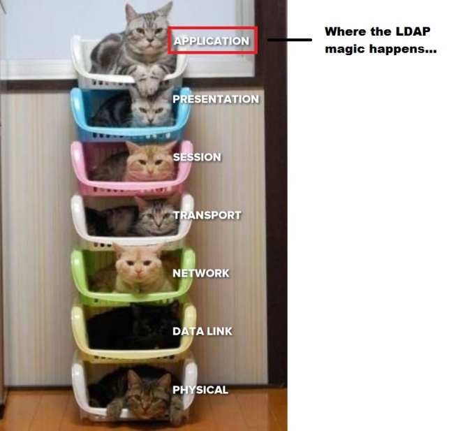osi-network-layer-cats